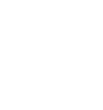 logo rough white